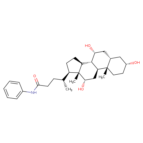 (5β)-3α,7α,12α-trihydroxy-N-phenyl-cholan-24-amide