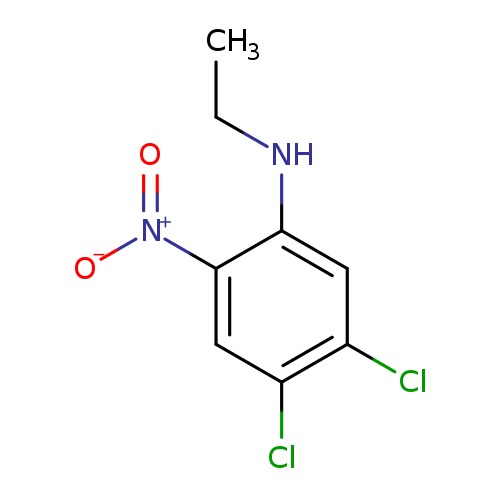 4，5-dichloro-N-ethyl-2-nitroaniline