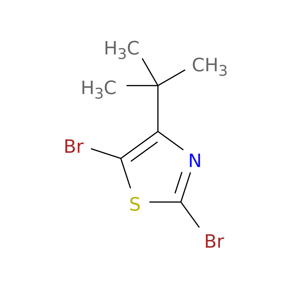 2,5-dibromo-4-tert-butyl-1,3-thiazole