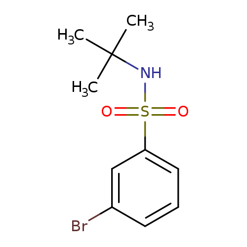 Benzenesulfonamide, 3-bromo-N-(1,1-dimethylethyl)-