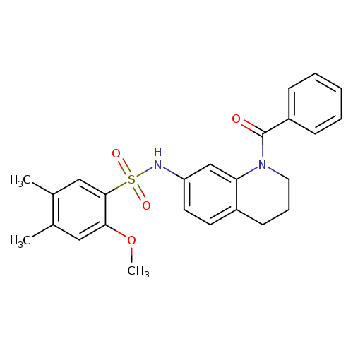 N-(1-benzoyl-1,2,3,4-tetrahydroquinolin-7-yl)-2-methoxy-4,5-dimethylbenzene-1-sulfonamide