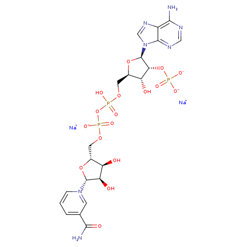 β-Nicotinamide Adenine Dinucleotide Phosphate Disodium Salt