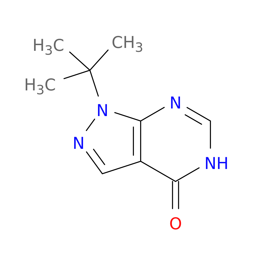 1-tert-butyl-1H,4H,5H-pyrazolo[3,4-d]pyrimidin-4-one