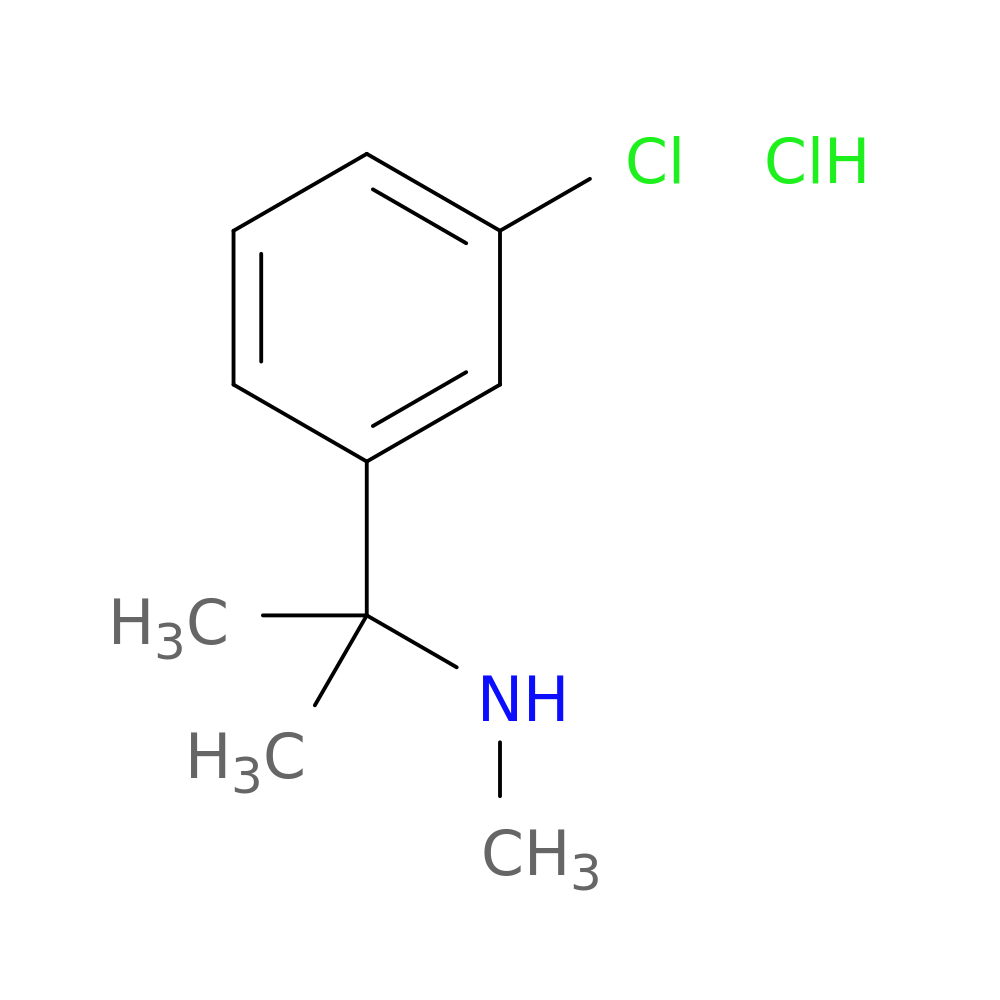 [2-(3-chlorophenyl)propan-2-yl](methyl)amine hydrochloride