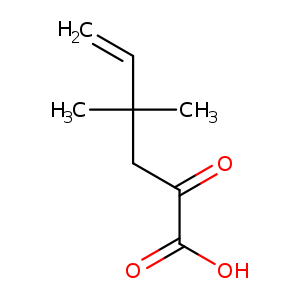 4,4-dimethyl-2-oxohex-5-enoic acid