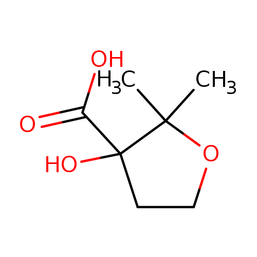 3-hydroxy-2,2-dimethyloxolane-3-carboxylic acid