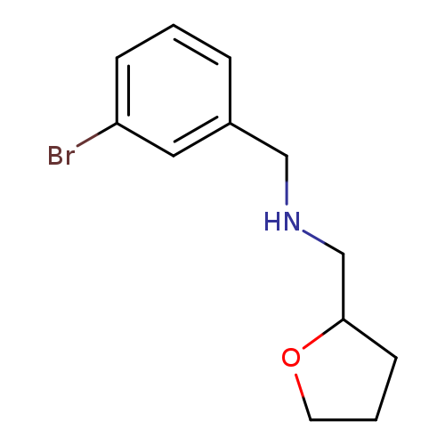 N-(3-bromobenzyl)-N-(tetrahydro-2-furanylmethyl)amine