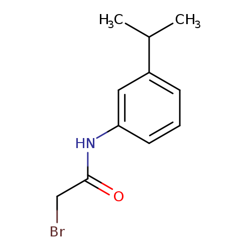 2-Bromo-n-(3-isopropylphenyl)acetamide