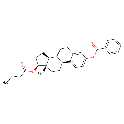 Estradiol-3-benzoate-17-butyrate