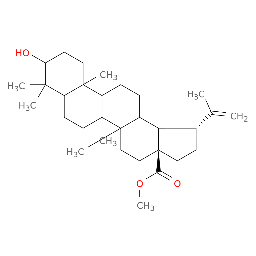 Betulinic Acid methyl ester
