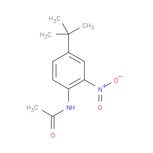 N-[4-(1,1-dimethylethyl)-2-nitrophenyl]acetamide