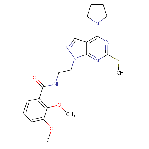 2,3-dimethoxy-N-{2-[6-(methylsulfanyl)-4-(pyrrolidin-1-yl)-1H-pyrazolo[3,4-d]pyrimidin-1-yl]ethyl}benzamide