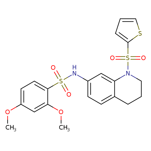 2,4-dimethoxy-N-[1-(thiophene-2-sulfonyl)-1,2,3,4-tetrahydroquinolin-7-yl]benzene-1-sulfonamide
