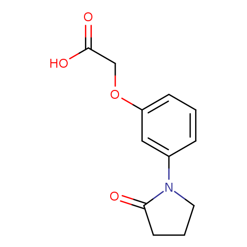 2-[3-(2-oxopyrrolidin-1-yl)phenoxy]acetic acid