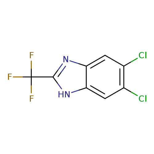 5,6-Dichloro-2-(trifluoromethyl)-1h-benzimidazole