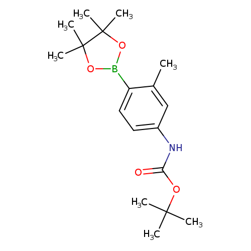 tert-Butyl 3-methyl-4-(4,4,5,5-tetramethyl-1,3,2-dioxaborolan-2-yl)phenylcarbamate