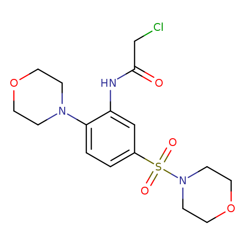 2-chloro-N-[2-(morpholin-4-yl)-5-(morpholine-4-sulfonyl)phenyl]acetamide