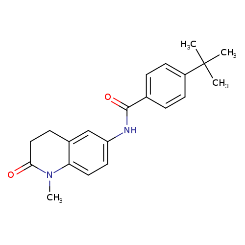 4-tert-butyl-N-(1-methyl-2-oxo-1,2,3,4-tetrahydroquinolin-6-yl)benzamide