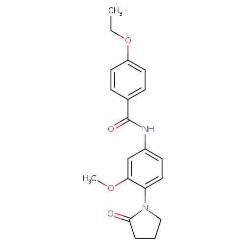4-ethoxy-N-[3-methoxy-4-(2-oxopyrrolidin-1-yl)phenyl]benzamide