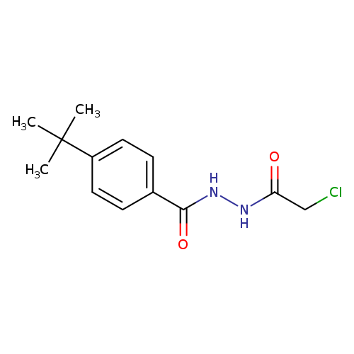 4-tert-butyl-N'-(2-chloroacetyl)benzohydrazide