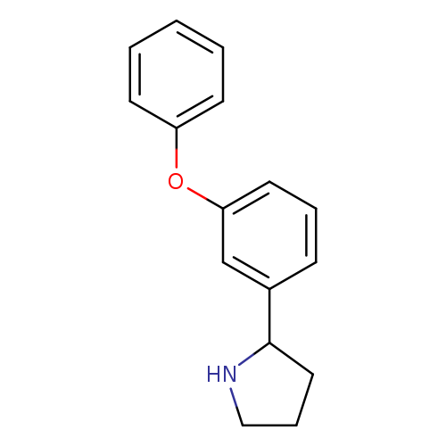 2-(3-PHENOXYPHENYL)-PYRROLIDINE