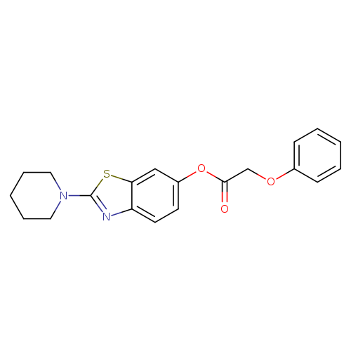 2-(piperidin-1-yl)-1,3-benzothiazol-6-yl 2-phenoxyacetate