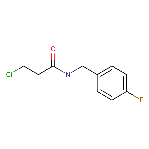 3-CHLORO-N-(4-FLUORO-BENZYL)-PROPIONAMIDE