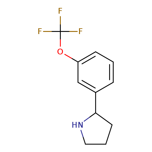 2-(3-TRIFLUOROMETHOXY-PHENYL)-PYRROLIDINE