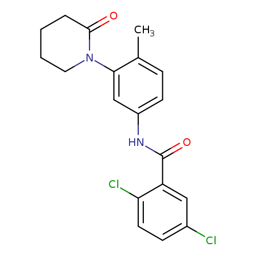 2,5-dichloro-N-[4-methyl-3-(2-oxopiperidin-1-yl)phenyl]benzamide