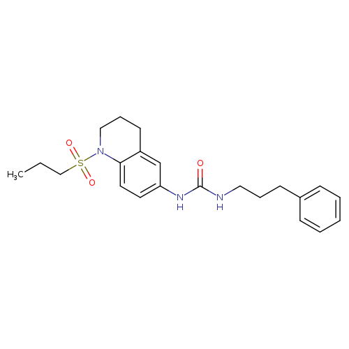 1-(3-phenylpropyl)-3-[1-(propane-1-sulfonyl)-1,2,3,4-tetrahydroquinolin-6-yl]urea