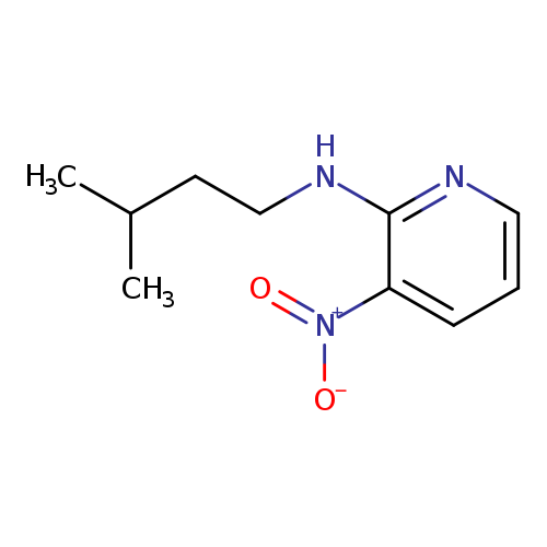 N-Isopentyl-3-nitropyridin-2-amine