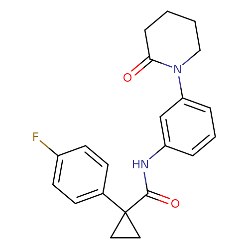 1-(4-fluorophenyl)-N-[3-(2-oxopiperidin-1-yl)phenyl]cyclopropane-1-carboxamide