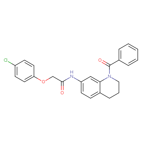 N-(1-benzoyl-1,2,3,4-tetrahydroquinolin-7-yl)-2-(4-chlorophenoxy)acetamide