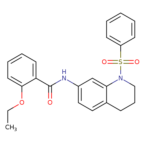 N-[1-(benzenesulfonyl)-1,2,3,4-tetrahydroquinolin-7-yl]-2-ethoxybenzamide