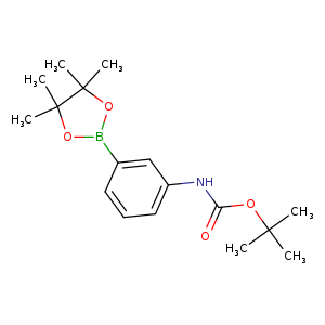 tert-butyl N-[3-(4,4,5,5-tetramethyl-1,3,2-dioxaborolan-2-yl)phenyl]carbamate