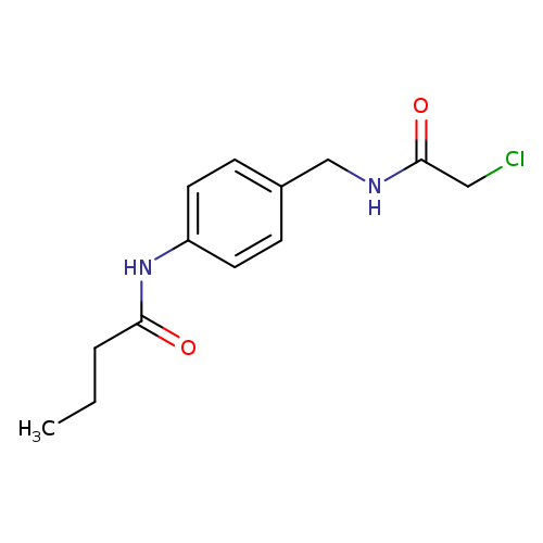 N-{4-[(2-chloroacetamido)methyl]phenyl}butanamide