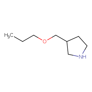 3-(Propoxymethyl)pyrrolidine