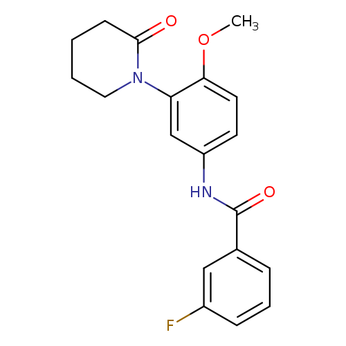 3-fluoro-N-[4-methoxy-3-(2-oxopiperidin-1-yl)phenyl]benzamide