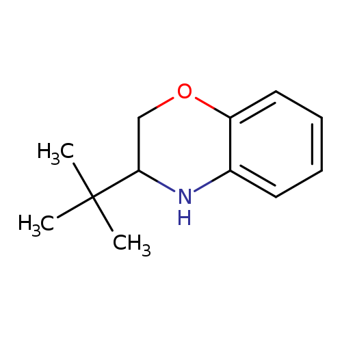3-(tert-Butyl)-3,4-dihydro-2H-benzo[b][1,4]oxazine