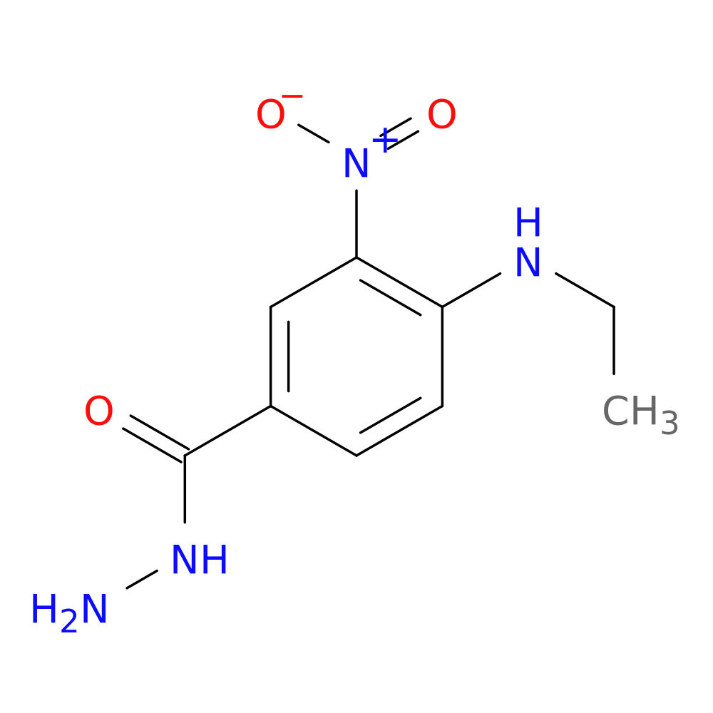 4-(ethylamino)-3-nitrobenzohydrazide