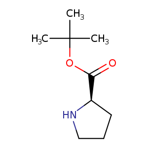 D-Proline tert-butyl ester