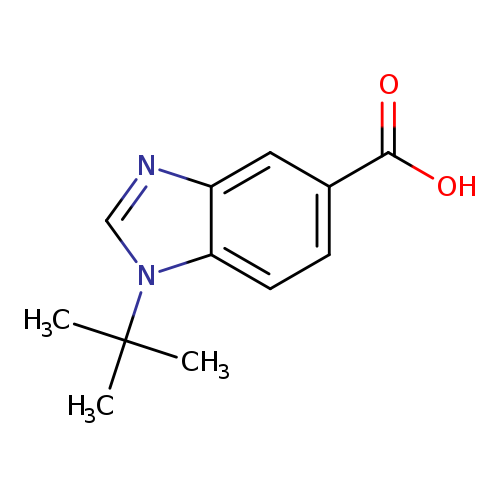 1-t-Butyl-benzoimidazole-5-carboxylic acid