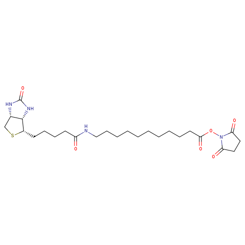 SLc-nhs-(+)-biotin