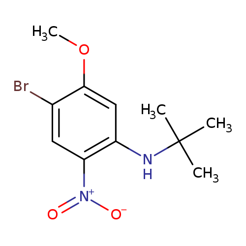 2-Bromo-5-t-butylamino-4-nitroanisole