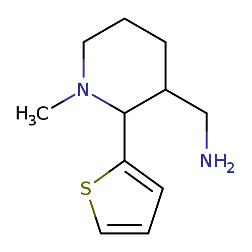 [1-methyl-2-(thiophen-2-yl)piperidin-3-yl]methanamine