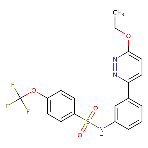 N-[3-(6-ethoxypyridazin-3-yl)phenyl]-4-(trifluoromethoxy)benzene-1-sulfonamide