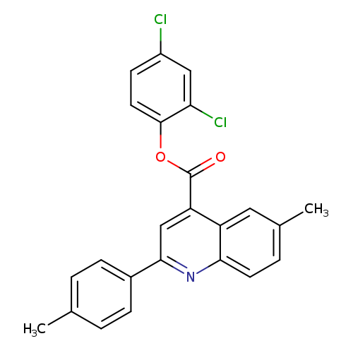2,4-dichlorophenyl 6-methyl-2-(4-methylphenyl)-4-quinolinecarboxylate