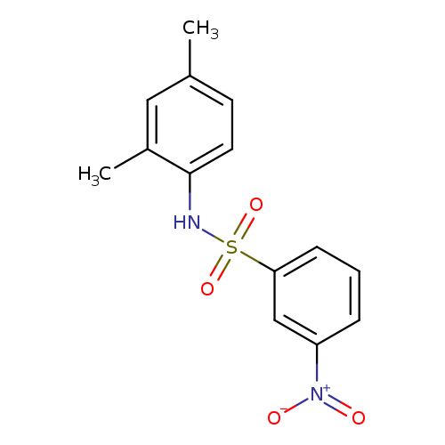 N-(2,4-Dimethylphenyl)-3-nitrobenzenesulfonamide