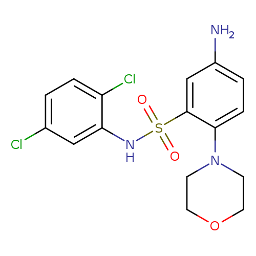 5-amino-N-(2,5-dichlorophenyl)-2-(morpholin-4-yl)benzene-1-sulfonamide
