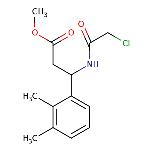 methyl3-(2-chloroacetamido)-3-(2,3-dimethylphenyl)propanoate
